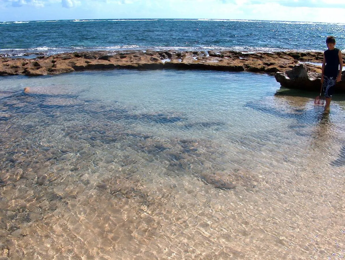 Itʻs All About The Beach Hau'ula Hébergement de vacances